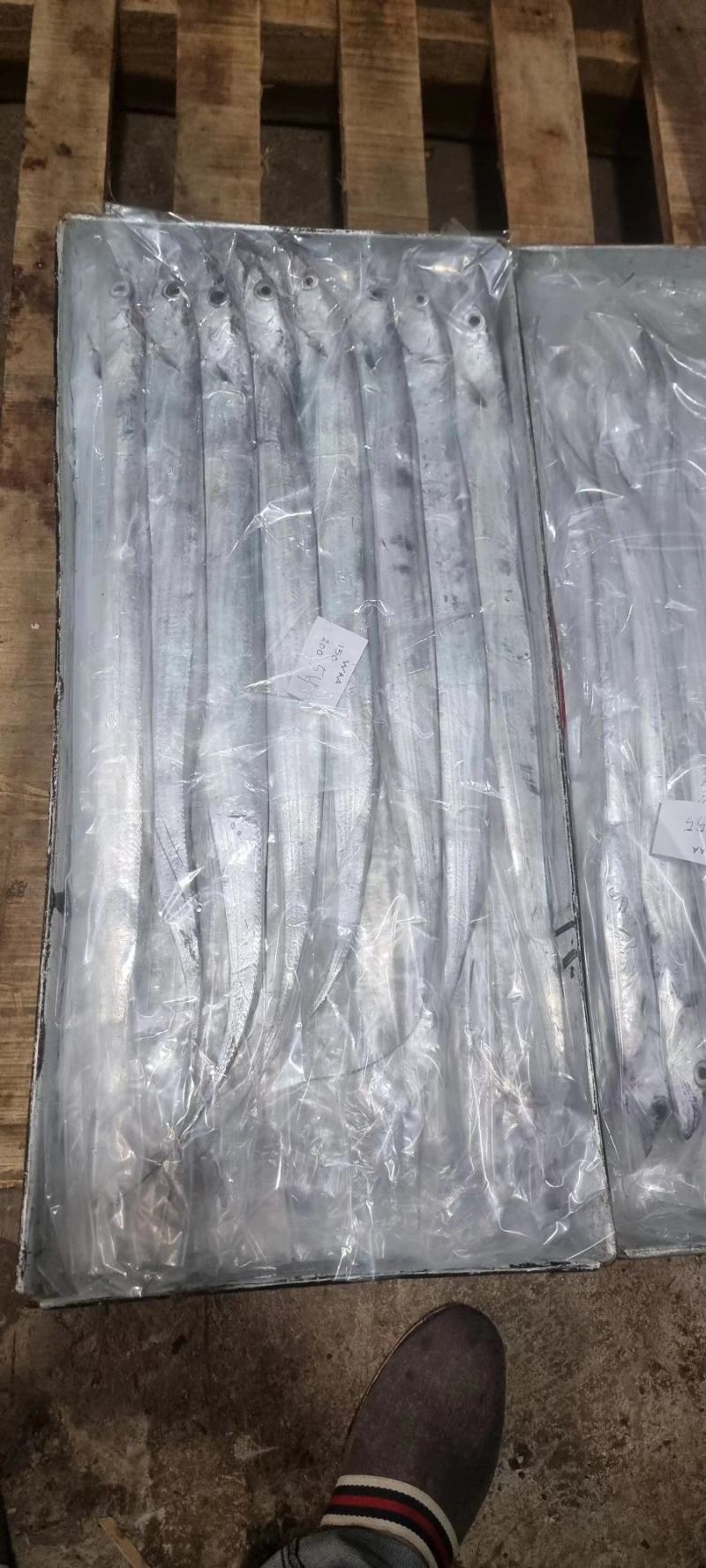 钓带规格齐全一手货源