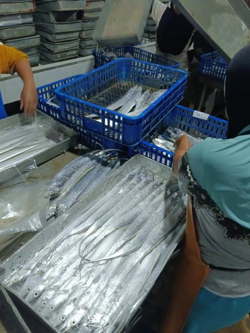 钓带规格齐全一手货源