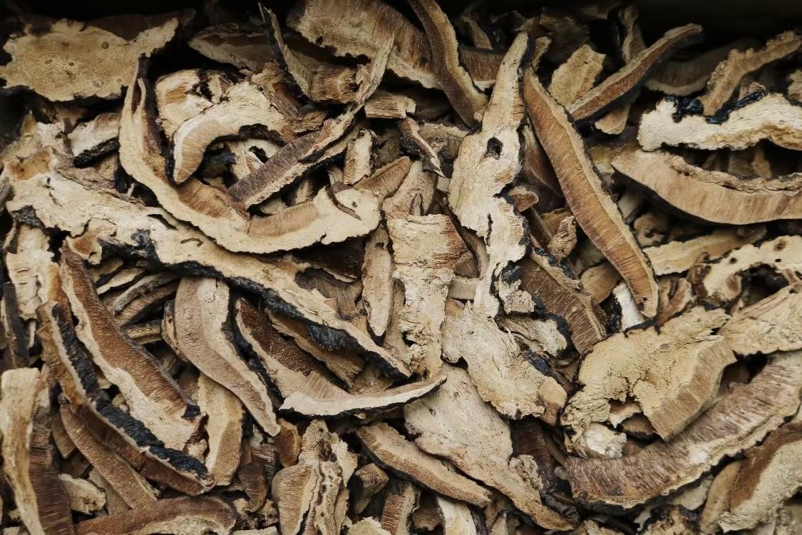 一位工人正在操作洁净车间内的自动切片机，将干燥后的灵芝整齐放入进料口