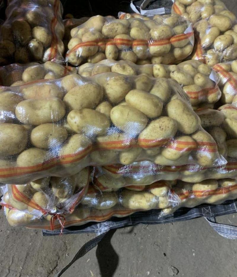 山东土豆V7土豆大量有货品质保证产地直发价格便宜