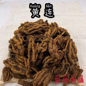 黄连黄连川黄连野生黄连优质黄连个四川黄连个