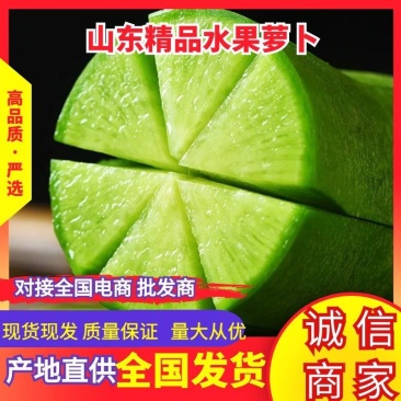 山东萝卜精品水果萝卜清脆甘甜量大从优欢迎新老客户