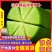 山东萝卜精品水果萝卜清脆甘甜量大从优欢迎新老客户