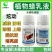 植物蜡乳液微晶蜡亮果膨果防病害保鲜增果蜡上色液蜡调节剂