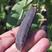 紫豌豆种子荚脆甜豌豆种子非转基因荷兰豆生吃高产紫皮蔬菜种