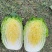 黄心大白菜净菜基地，品质好价格低，欢迎选购