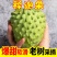 广西释迦果6元起