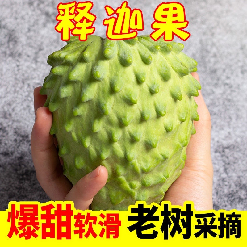 广西释迦果6元起