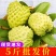 广西释迦果6元起