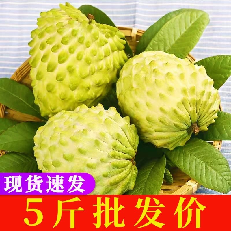 广西释迦果6元起