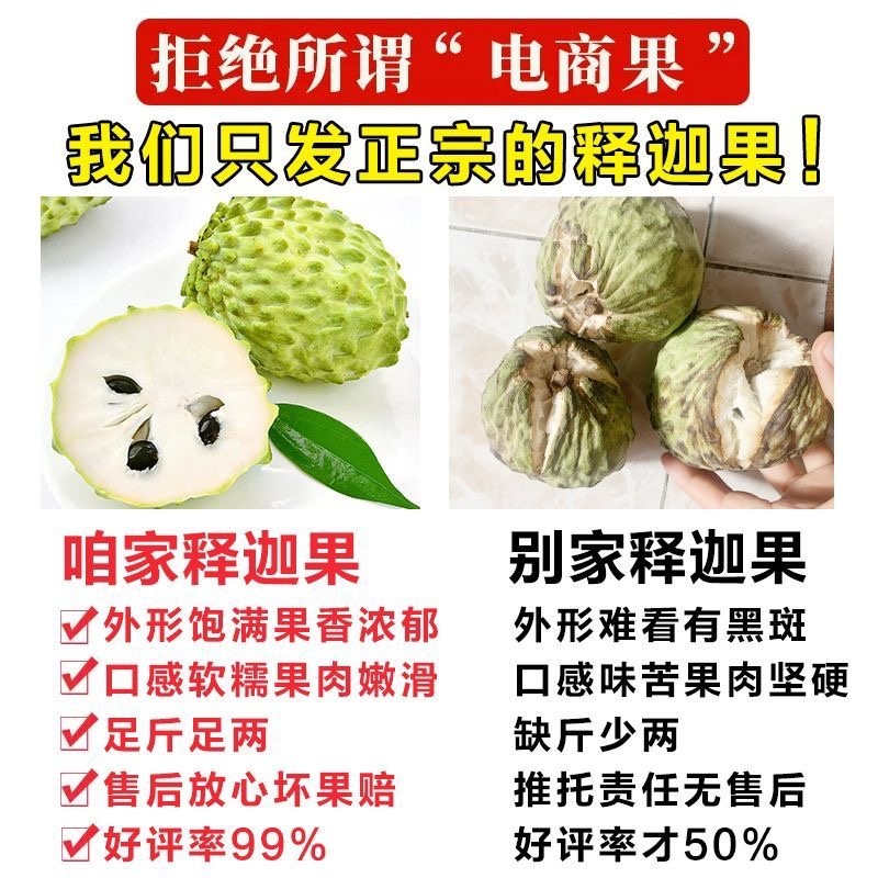 广西释迦果6元起