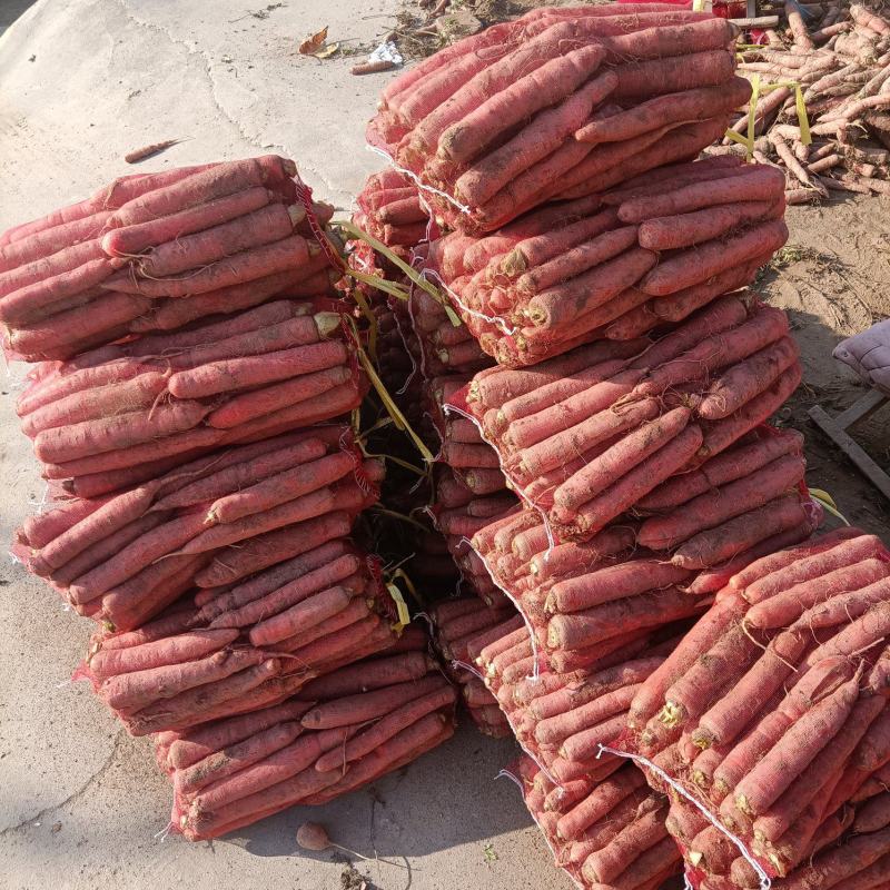 网袋红萝卜毛娃袋萝卜新鲜现挖现装货源充足量大从优