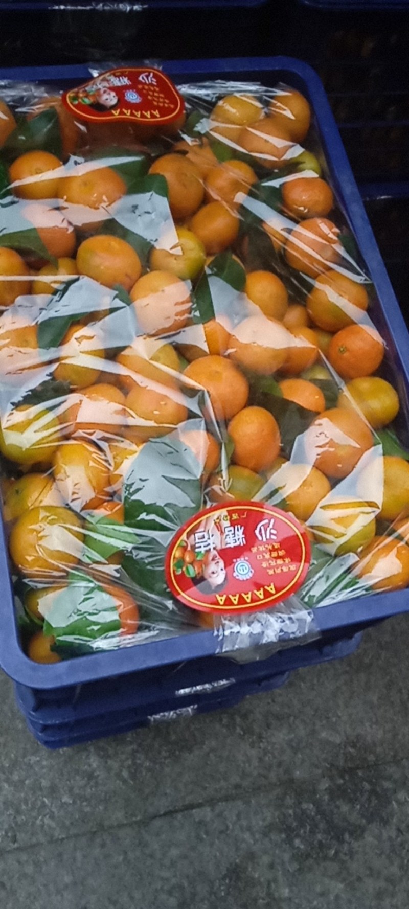 江西特产，南丰蜜广砂糖橘，甜度足，发全國