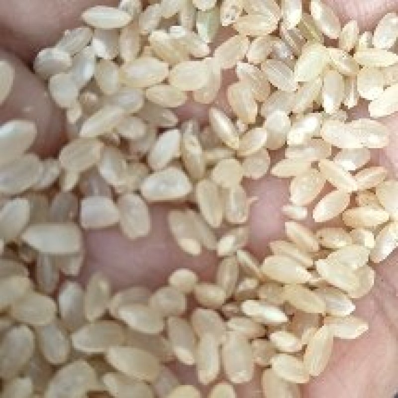 红米大量有货价格便宜，专业加工，可开专票