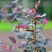 红花继木球红花继木苗60-2米冠幅适合庭院别墅批发零售