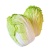 【诚信】富平大白菜青杂系列白菜秦白系列白菜