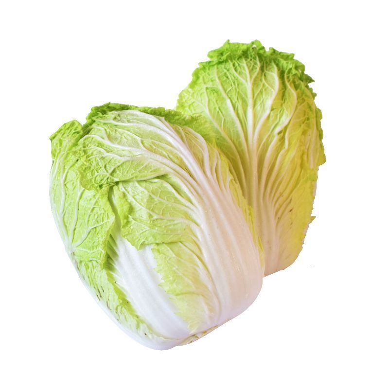 【诚信】富平大白菜青杂系列白菜秦白系列白菜