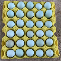 精品双色绿壳土鸡蛋，日捡日发，全国各地发货