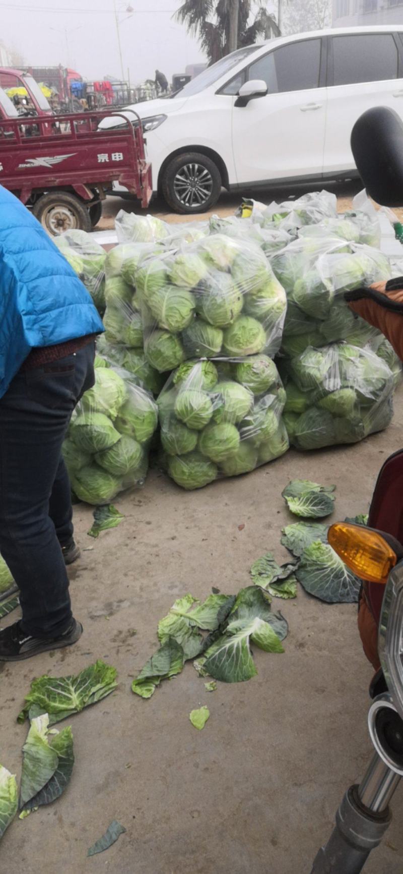 甘篮产地正在大量上市中，欢迎新老客户前来选购，货源稳定！