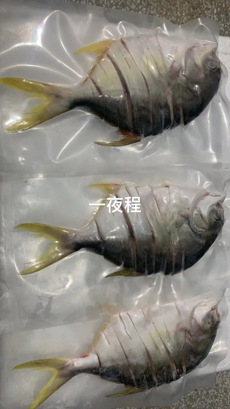 具有Sc生产许可证食品出口证代预制菜企业加工