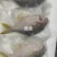 具有Sc生产许可证食品出口证代预制菜企业加工