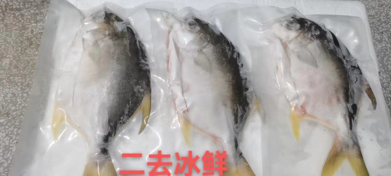 广东湛江金鲳鱼一夜埕鱼干具备生产许可证出口食品加工许可证