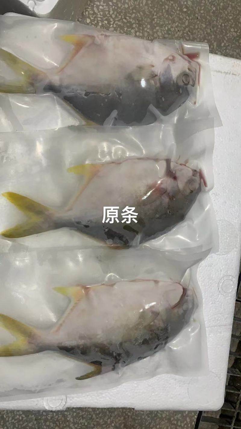 广东湛江金鲳鱼一夜埕鱼干具备生产许可证出口食品加工许可证