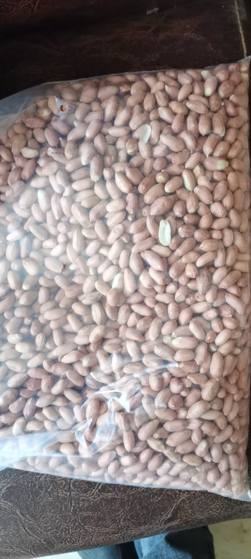 手选花生米粒粒饱满