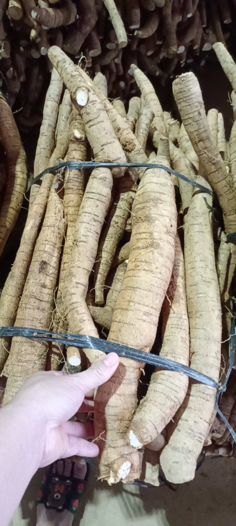 大统牛无次大量供应长期有货质量保证