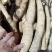 大统牛无次大量供应长期有货质量保证