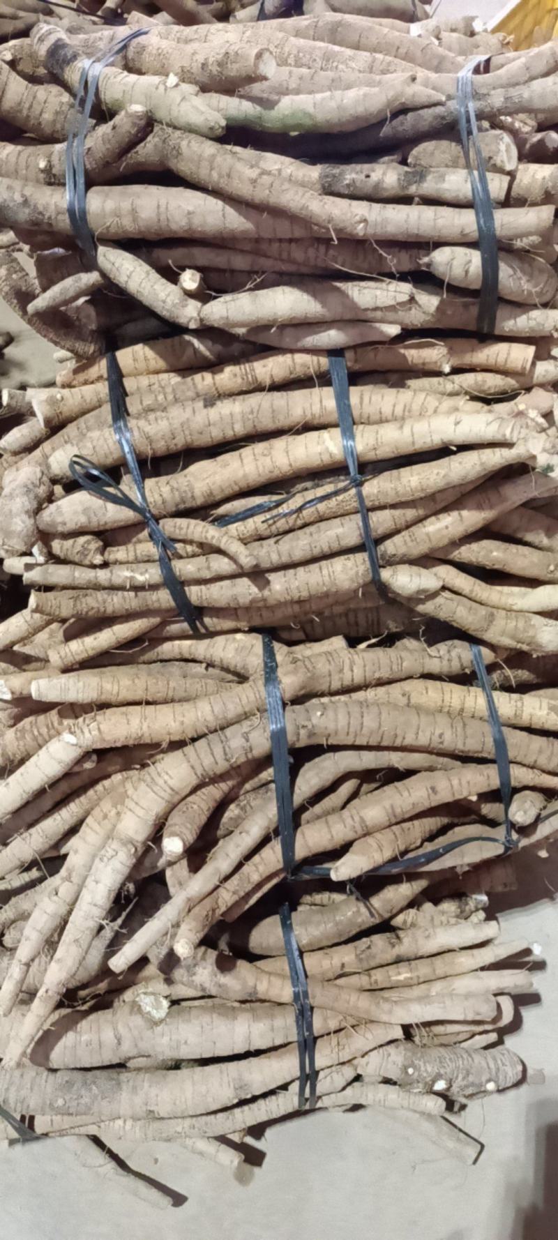 大统牛无次大量供应长期有货质量保证