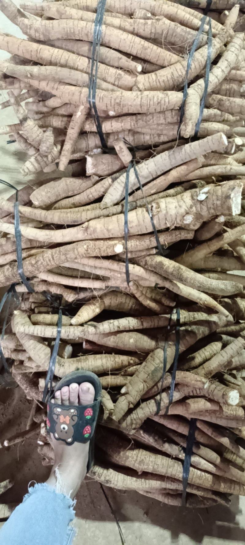 大统牛无次大量供应长期有货质量保证