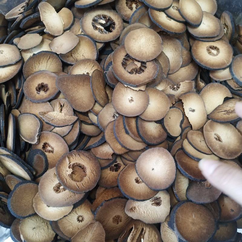 批发.化橘红片500克桔红片化橘红片化橘红果化橘红干果