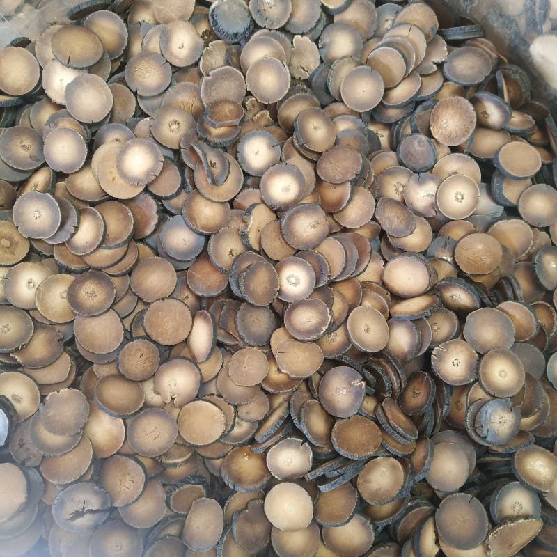 批发.化橘红片500克桔红片化橘红片化橘红果化橘红干果