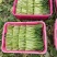 广东菜心菜苔货量充足品质保证量大从优