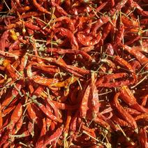 干艳红小米椒产地直供-一手货源可供批发市场商超