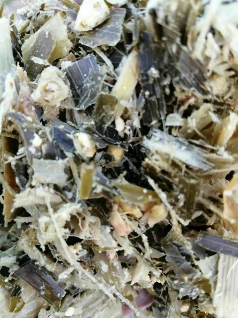 青贮青储黄储玉米杆量大从优可视频看货