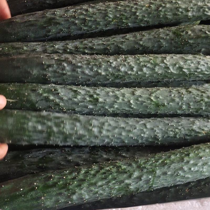 青瓜