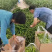 精品螺丝椒基地直供一手货源品质保证诚信经营欢迎采购