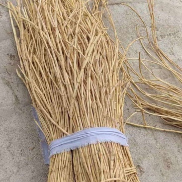 白茅根河北地产精品，茶用五公分段