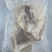 鱿鱼，单冻鱿鱼，单冻鱿鱼，精品鱿鱼，烧烤，市场