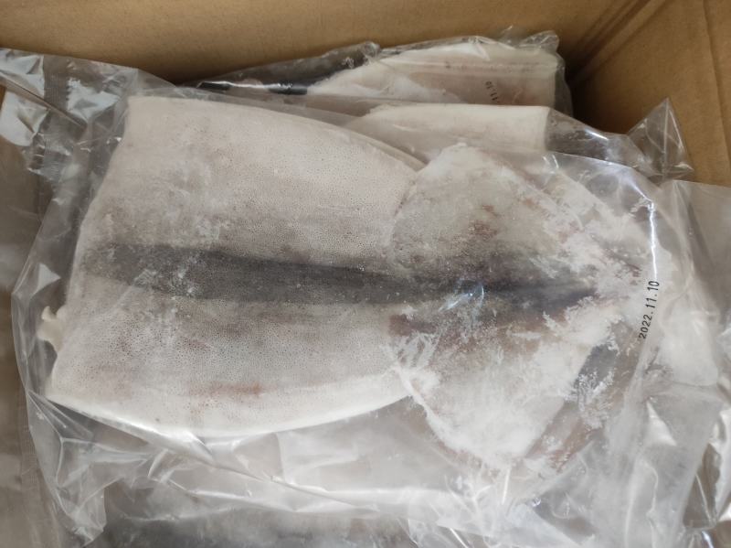 鱿鱼，单冻鱿鱼，单冻鱿鱼，精品鱿鱼，烧烤，市场