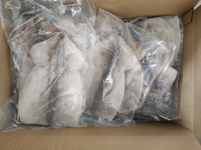 鱿鱼，单冻鱿鱼，单冻鱿鱼，精品鱿鱼，烧烤，市场