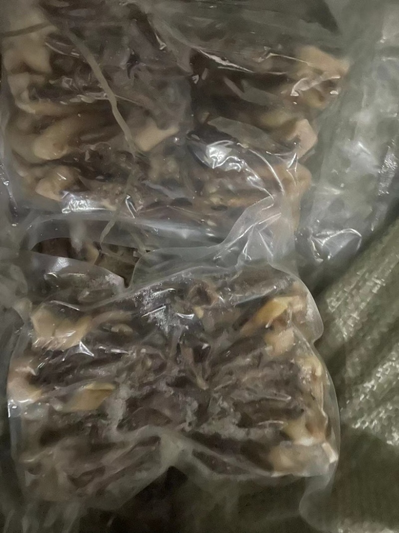 鱿鱼须速冻无冰产地发货保质保量供应全国