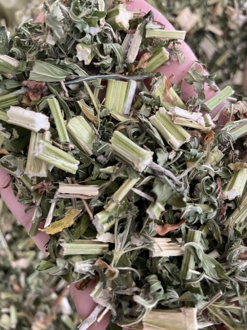 野生益母草新货益母草茶中药泡茶新货