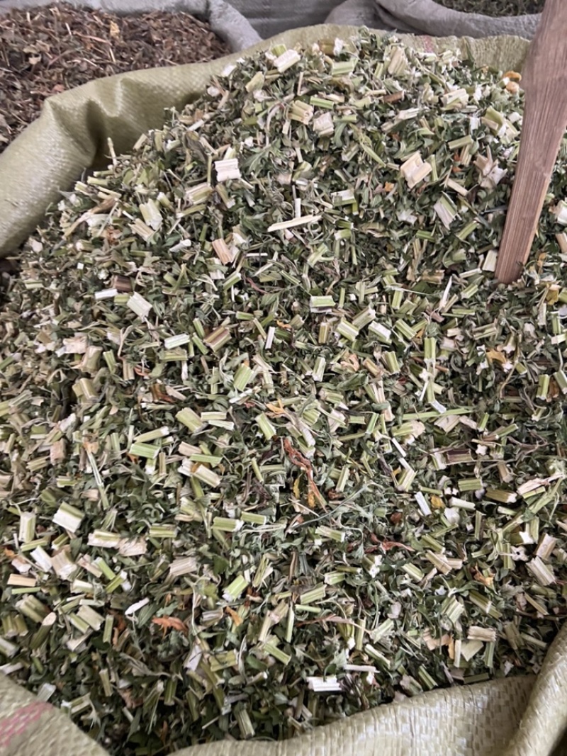 野生益母草新货益母草茶中药泡茶新货
