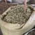 野生益母草新货益母草茶中药泡茶新货