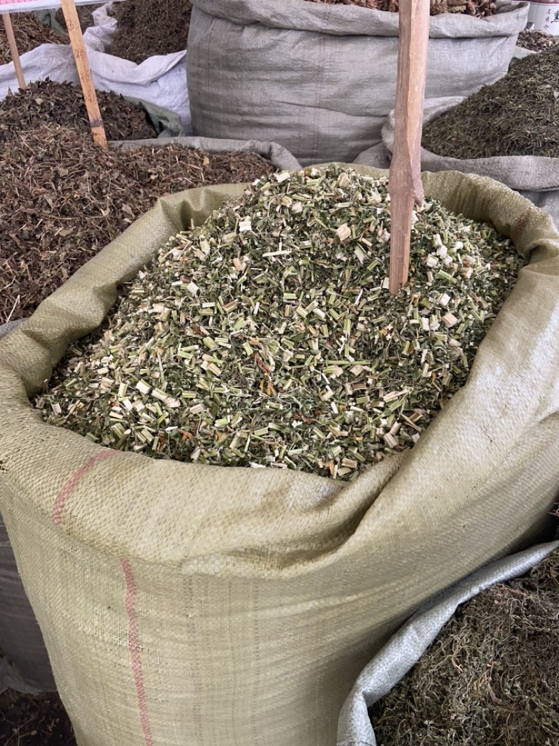 野生益母草新货益母草茶中药泡茶新货