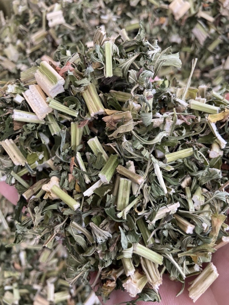 野生益母草新货益母草茶中药泡茶新货