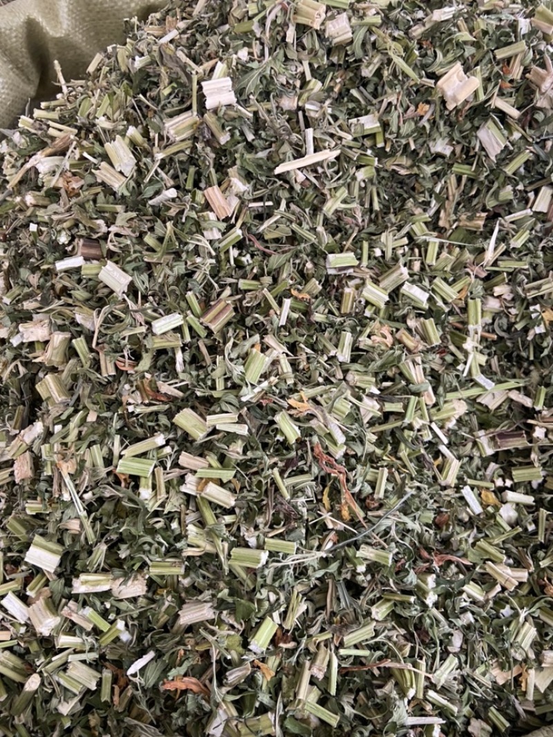野生益母草新货益母草茶中药泡茶新货